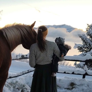 268 - Hestenes klan Norge Rundt - Troms og Finnmark