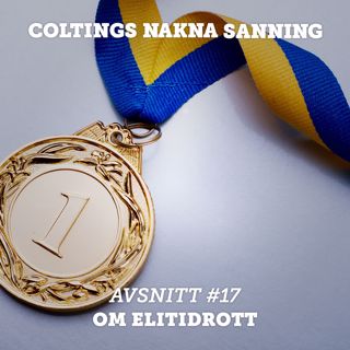 17. Om elitidrott