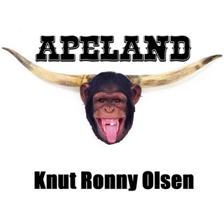 Knut Ronny Olsen
