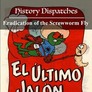 Eradication of the Screwworm Fly