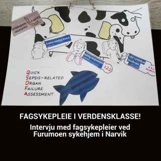 Fagsykepleie i verdensklasse!
