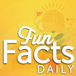 Fun Facts About Paint and Glitter