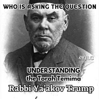 Understanding the Torah Temima