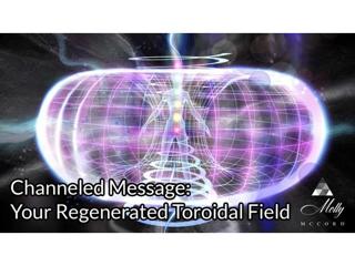Channeled Message: Your Regenerated Torus Field