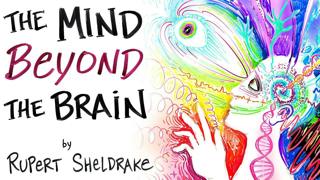 Evidence That Your Mind is NOT Just In Your Brain - Rupert Sheldrake | After Skool