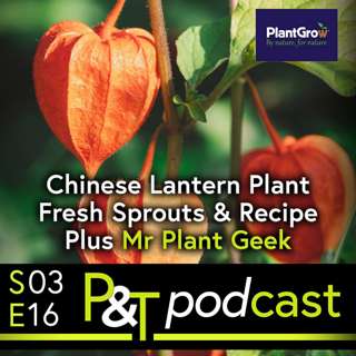 Chinese Lantern Plant, Lily Growing Question, Sprout Recipe & Mr Plant Geek Michael Perry Joins Us