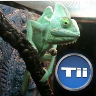 Tii - iTem 0324 - iPad Air 2, iPad Mini 3 and More GTAT Drama