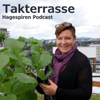 43/23: Takterrasse med Vera Holt