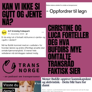 167 - Bufdirs råd om kjønnsmangfold med Christine og Luca