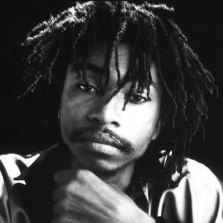 GARNET SILK TRIBUTE MIX