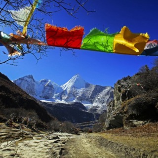 Best of Awake in the World: Not Giving Up On Ourselves & Fully Inhabiting Our Lives