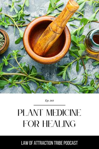 IT'S TIME TO BUILD A BRIDGE BETWEEN ANCIENT MEDICINE AND MODERN DAY LIFE: INTERVIEW WITH DAISY