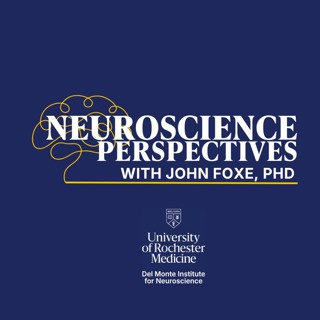 Neuroscience Perspectives