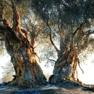 26. Krishna brings the trees down