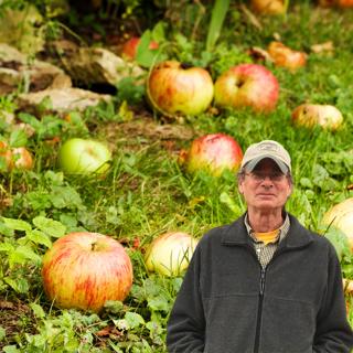 245: Apples of New England