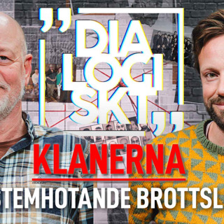 Jan Persson/Johannes Wahlström,#162, ”ORGANISERAD BROTTSLIGHET ”