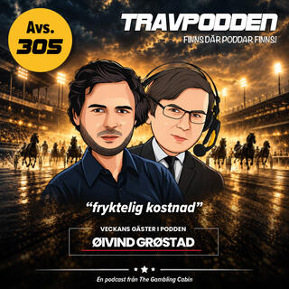 Avs. 305 - ”fryktelig kostnad”