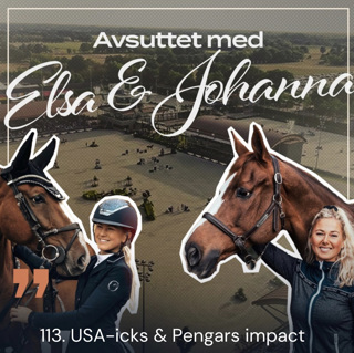 113. USA-icks & Pengars impact
