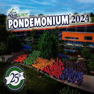 Insiders Review: Pondemonium!