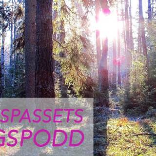 Skogspodden