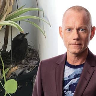 Galen granne i storstadsdjungel: Peder Gustafsson, Bangkok