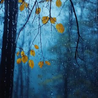 Rain Sound in Forest - Heavy Rain on Window for Fall Asleep in 3 Minutes - Relaxing Music