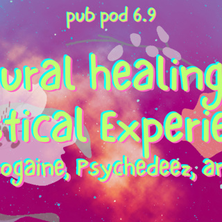  6.9 Ibogaine, Psychedelics, and Big Ass Self; Neural Healing w/ Mystical Experience
