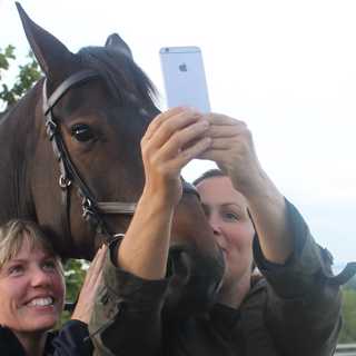 Reining med Jonna Eriksson