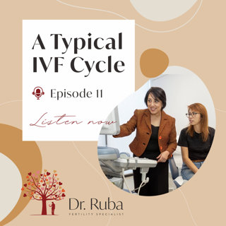 Episode 11: A Typical IVF Cycle