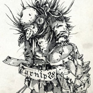 10 - Turnip28
