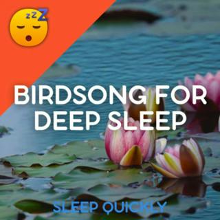 😴🍂🎵 Nature Ambience - BIRDSONG for Deep SLEEP with MUSIC