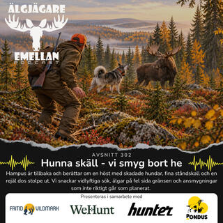 302. Hunna skäll - vi smyg bort he