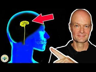 What Happens To Your BRAIN If You NEVER Exercise? 