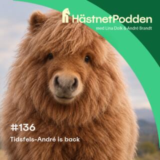 136. Tidsfels-André is back