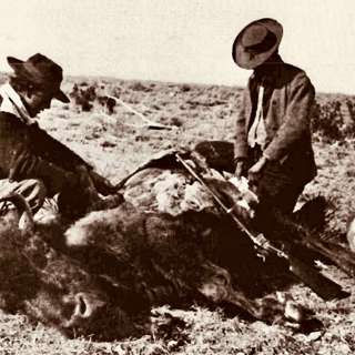 Unearthing the Buffalo Dystopia: The Catastrophe of Overhunting and the Medicine Lodge Treaty Consequences