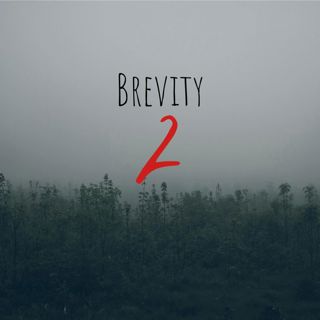 31: Brevity 2