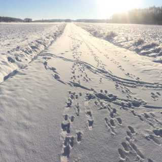 Spår i snö och sten