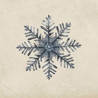 24. Den förlåtande snön