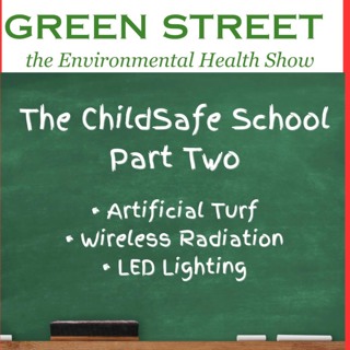The ChildSafe School - Part Two