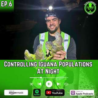 The Game Changer: Effective Nighttime Iguana Control Methods