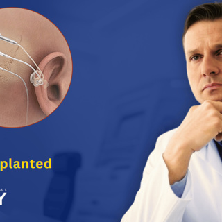 263 - Regulation, Innovation, and the Road to Fully Implantable Hearing Devices