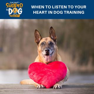 When To Listen To Your Heart In Dog Training #187