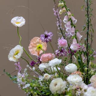 Blooms, Beaks & Beets: Summer in the Garden