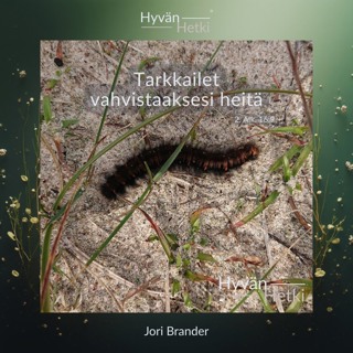 Tarkkailet vahvistaaksesi heitä (27.08.2026)