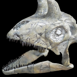 The Triassic Was Earth's Strangest Period By Far