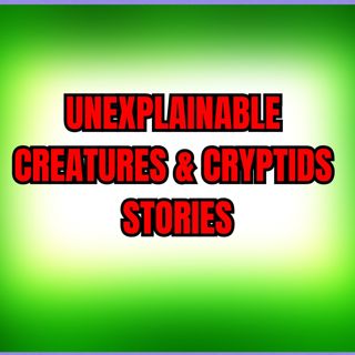 Unexplainable Creatures & Cryptids Stories