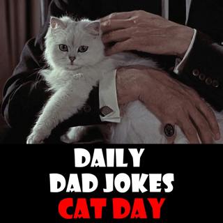 Global Cat Day! Cat-as-trophic Dad Jokes! 16 October 2024