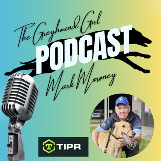 Episode with Astute NSW Breeder, Owner and Trainer, Mark Moroney.