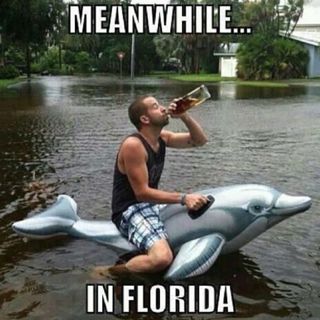 IDIOTS OF THE DAY IN FLORIDA