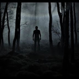 SCARY STORIES FROM THE WOODS REVISITED